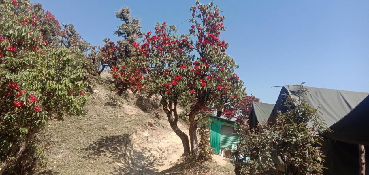 Chandarshila Hike Homestay Ukhimath Dış mekan fotoğraf